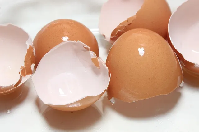 Petit déjeuner